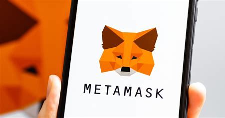 Best Metamask Wallet